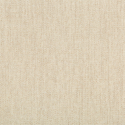 Kravet Smart 35393-111 by Kravet Smart Fabric
