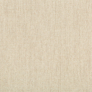Kravet Smart 35393-111 by Kravet Smart Fabric