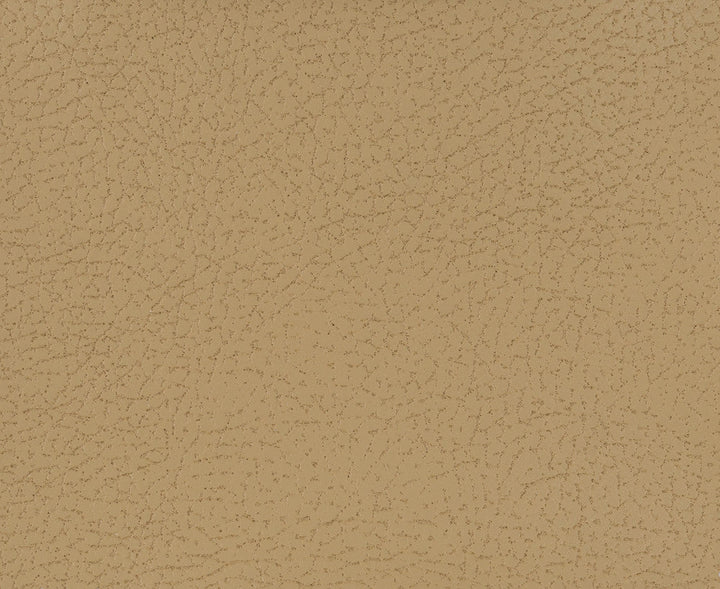 Genslar-1611 by Kravet Fabric