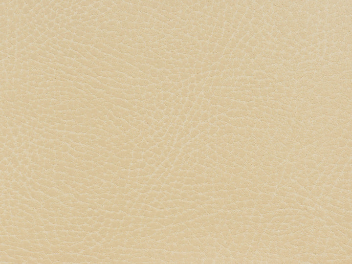 Glendale-111 by Kravet Fabric