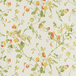 Sweet Pea Pink & Yellow by Cole & Son Wallpaper