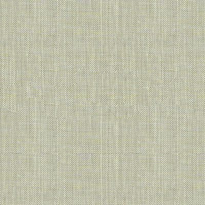 Kravet Basics 30299-2111 by Kravet Basics Fabric