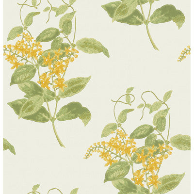 Madras Violet Yellow by Cole & Son Wallcovering