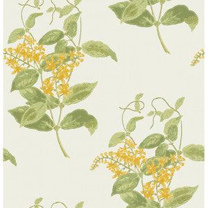 Madras Violet Yellow by Cole & Son Wallcovering