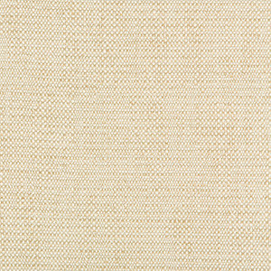 Kravet Design 35135-116 by Kravet Design Fabric