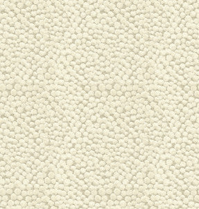Lembury Ivory by Baker Lifestyle Fabric