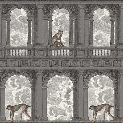 Procuratie Con Vista Soot & Snow by Cole & Son Wallcovering