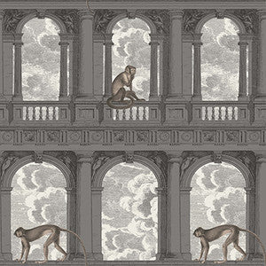 Procuratie Con Vista Soot & Snow by Cole & Son Wallcovering