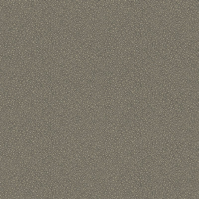 Goldstone Black & Silver by Cole & Son Wallcovering