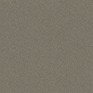 Goldstone Black & Silver by Cole & Son Wallcovering