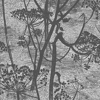 Cow Parsley Charcoal by Cole & Son Wallcovering