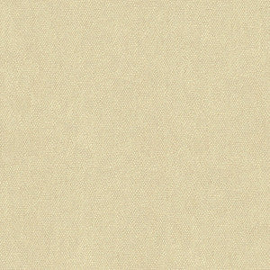 Kravet Couture 34074-111 by Kravet Couture Fabric