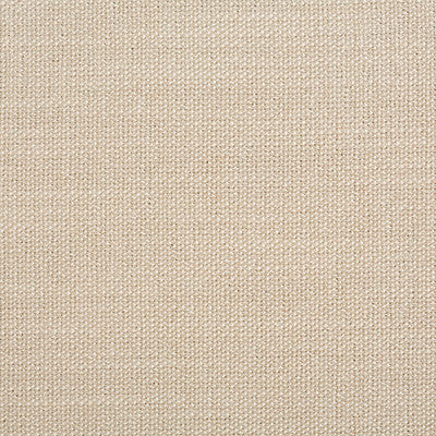 Kravet Smart 35113-116 by Kravet Smart Fabric