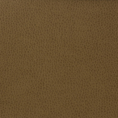 Kravet Basics Matter-606 by Kravet Basics Fabric