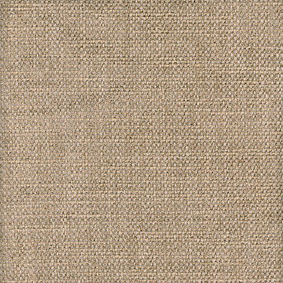 Paraggi Wheat by Kravet Couture Fabric