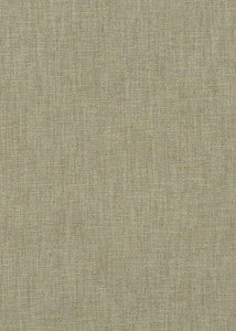 Kinnerton Lichen by Baker Lifestyle Fabric