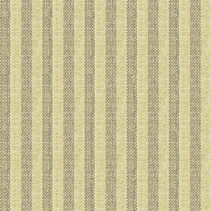 Kravet Basics 34080-1611 by Kravet Basics Fabric