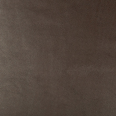 Kravet Design Dust-66 by Kravet Design Fabric