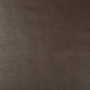 Kravet Design Dust-66 by Kravet Design Fabric