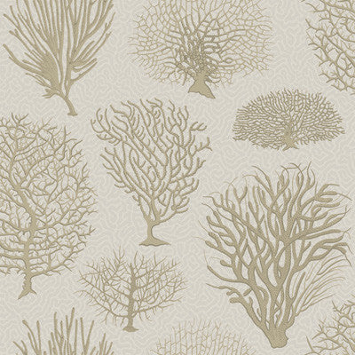 Seafern Stone by Cole & Son Wallcovering