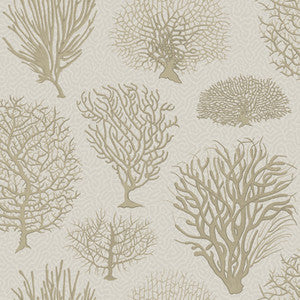 Seafern Stone by Cole & Son Wallcovering