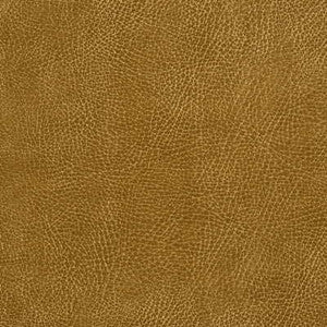 Glendale-116 by Kravet Fabric