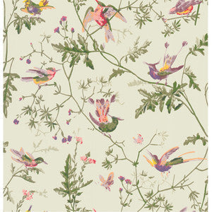 Hummingbirds Green Multi-Colour by Cole & Son Wallcovering