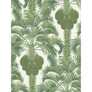 Hollywood Palm Leaf Green by Cole & Son Wallcovering