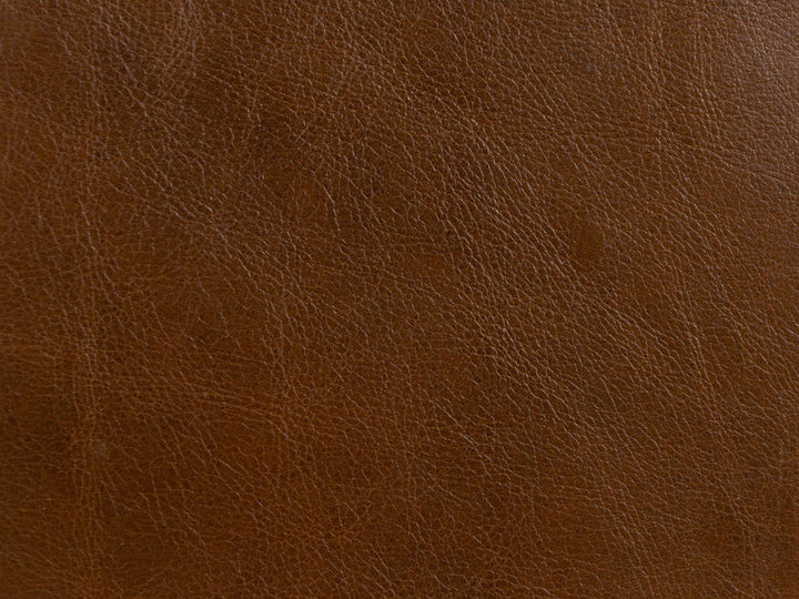 L-Timeless-Saddle by Kravet Fabric