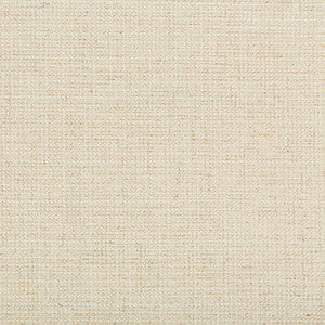 Kravet Smart 35395-116 by Kravet Smart Fabric