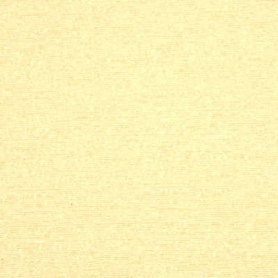 Avaron Champagne By Threads Fabric