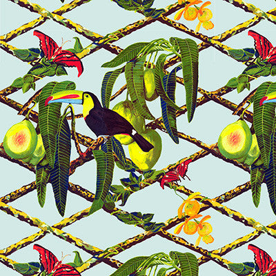 Tucan Original by Gaston Y Daniela Wallcovering