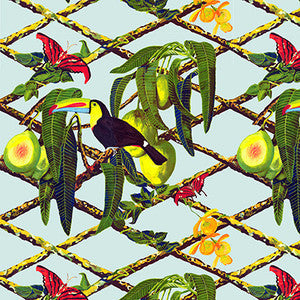 Tucan Original by Gaston Y Daniela Wallcovering