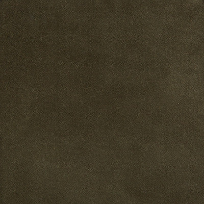 Kravet Design 35366-2111 by Kravet Design Fabric
