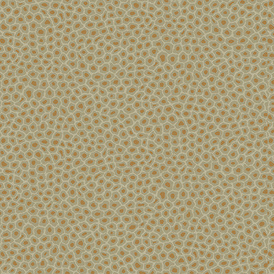 Senzo Spot Olive by Cole & Son Wallcovering
