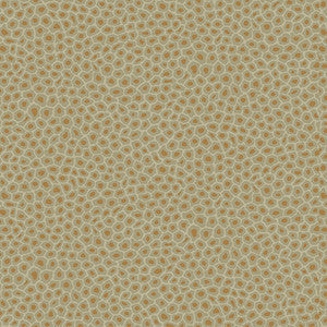 Senzo Spot Olive by Cole & Son Wallcovering