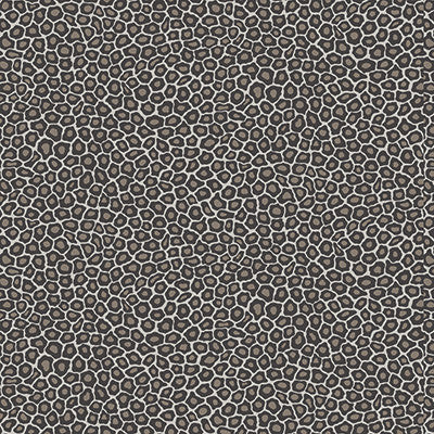 Senzo Spot Black & White by Cole & Son Wallcovering