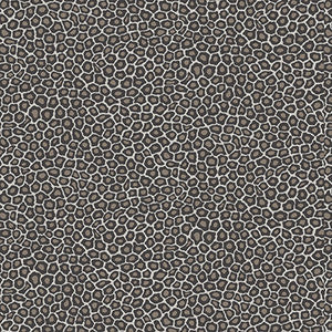 Senzo Spot Black & White by Cole & Son Wallcovering