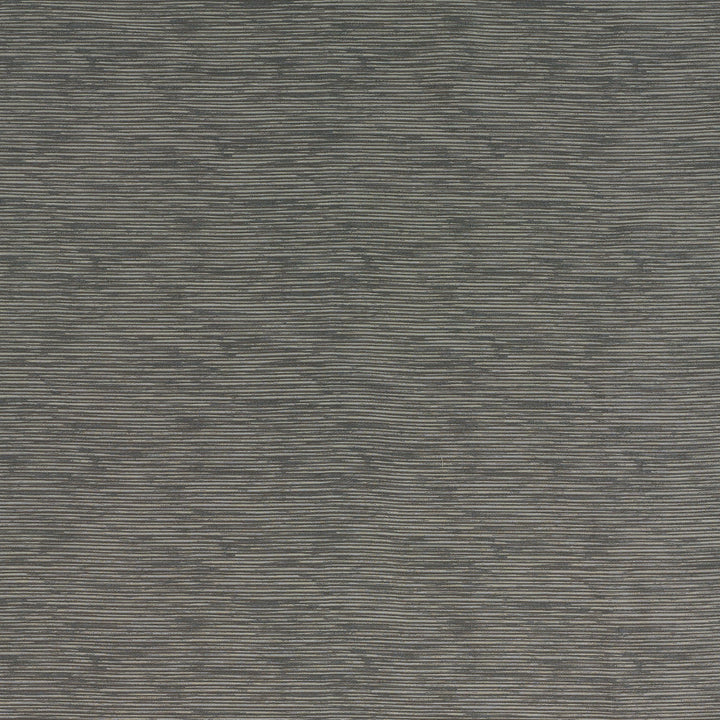 Horizon Graphite by Threads Fabric