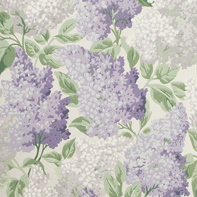 Lilac Lilac/Dove/White by Cole & Son Wallcovering
