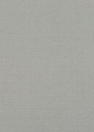 Lansdowne Silver by Baker Lifestyle Fabric
