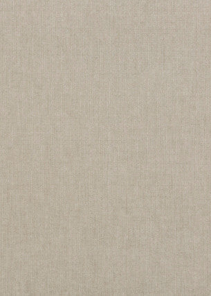 Blizzard Silver by G P & J Baker Fabric