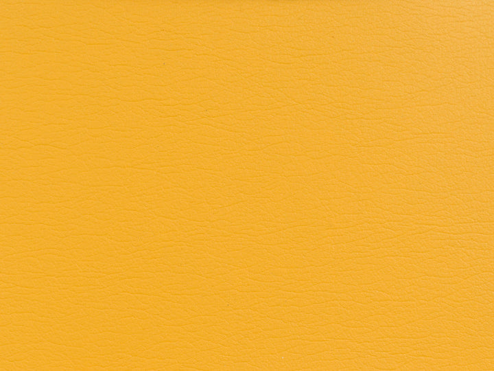 Gato-4 by Kravet Fabric