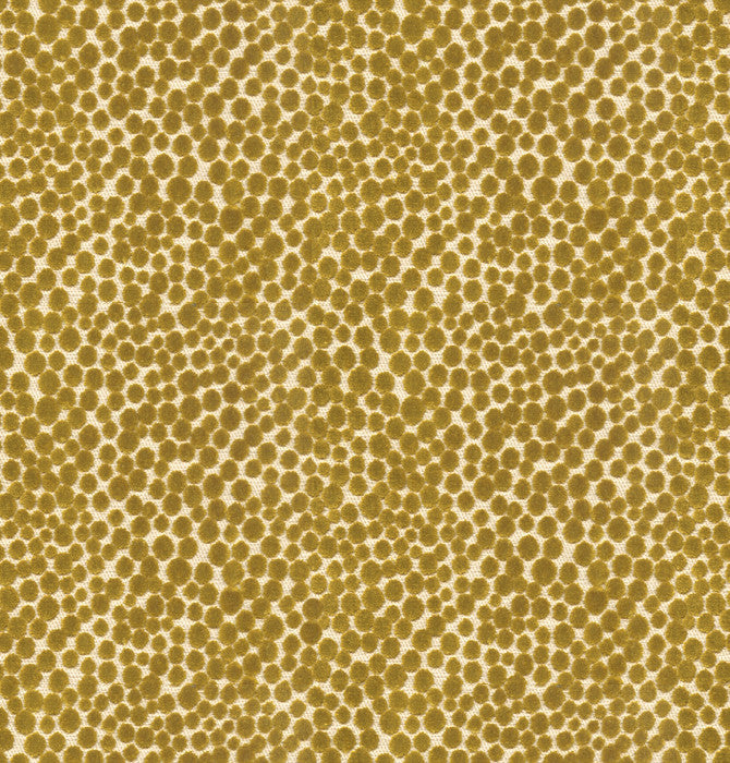 Lembury Lime by Baker Lifestyle Fabric