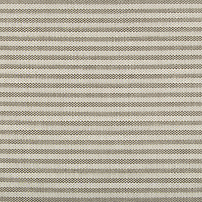 Rayas Stripe Fossil by Lee Jofa Modern Fabric