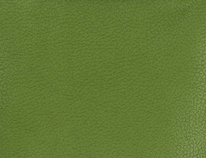 Genslar-333 by Kravet Fabric