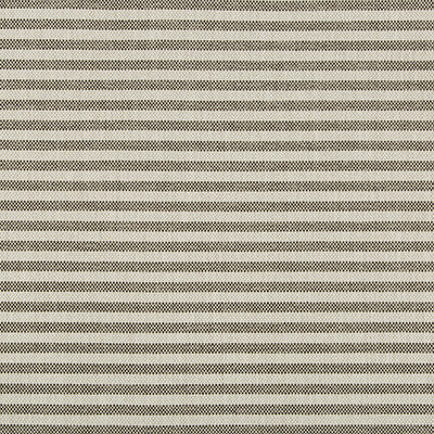 Rayas Stripe Soot by Groundworks Fabric