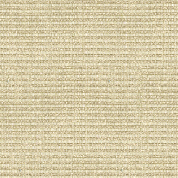 Kravet Smart 32946-111 by Kravet Smart Fabric
