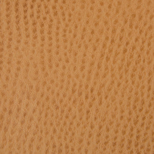 Kravet Contract Belus-4 by Kravet Contract Fabric