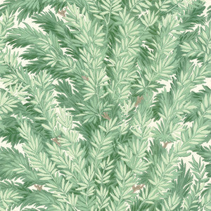 Florencecourt Verillion by Cole & Son Wallcovering